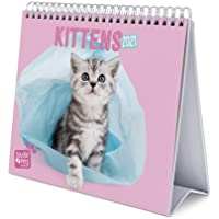 Los mejores  - Erik - Calendario de Escritorio 2021 Studio Pets Cats- 17x20 cm